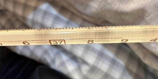 凤凰体育下载-【夜读】247场201球，姆巴佩加冕巴黎队史射手王